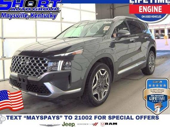 HYUNDAI SANTA FE 2023 5NMS4DAL5PH531055 image